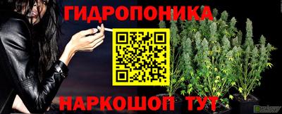 стафф Иваново